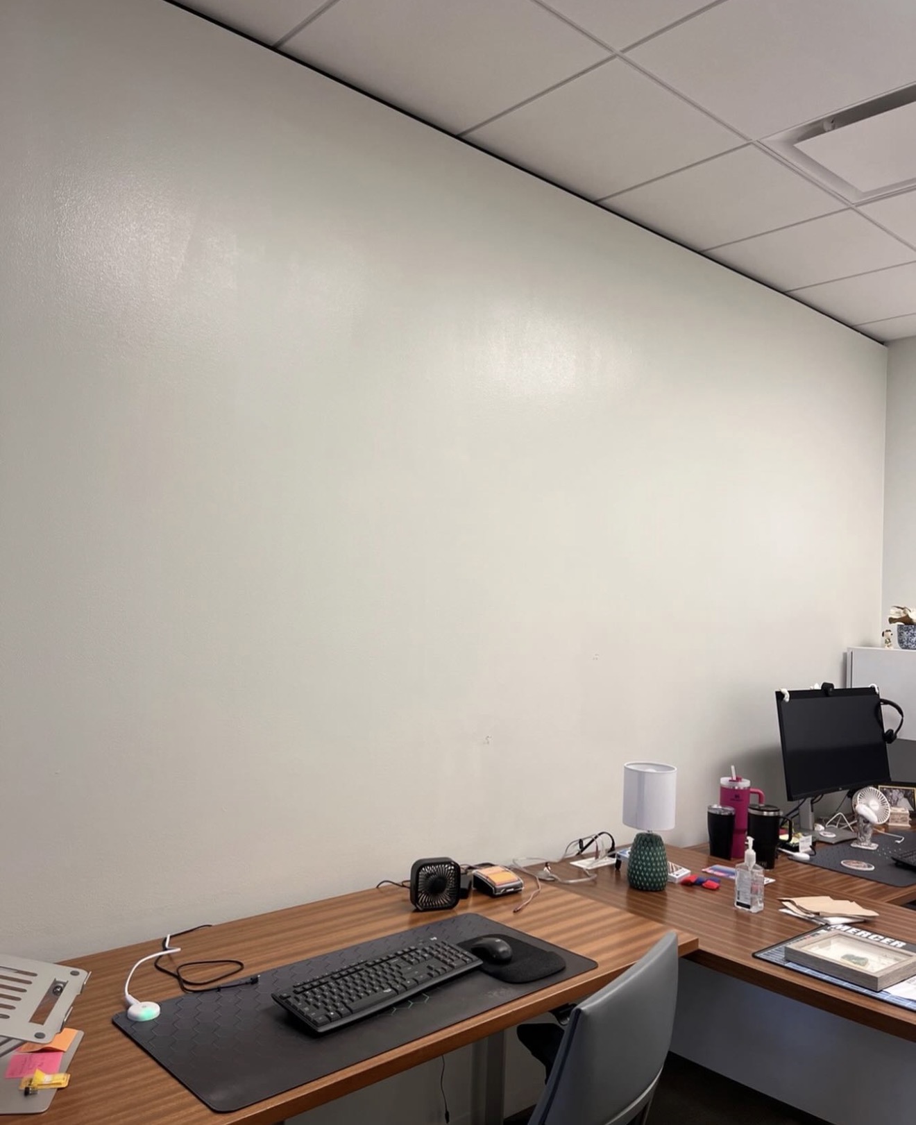 Office Wall Repaint